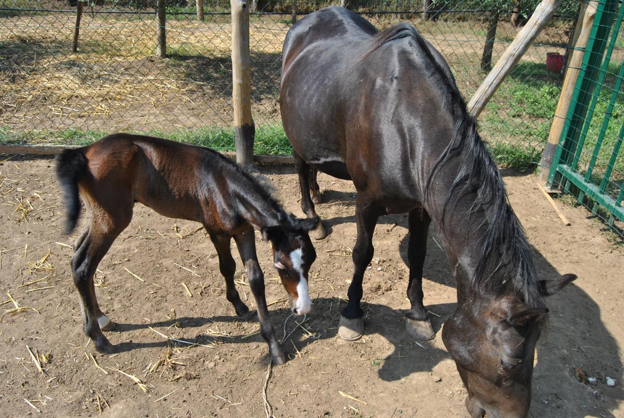 Tenute Del Gheppio Farm stay *